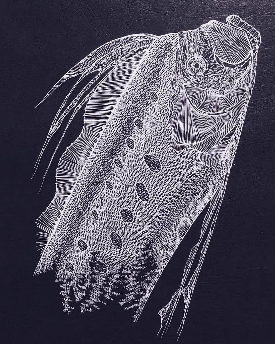 Instagram.com/kiriesousakukamasayo