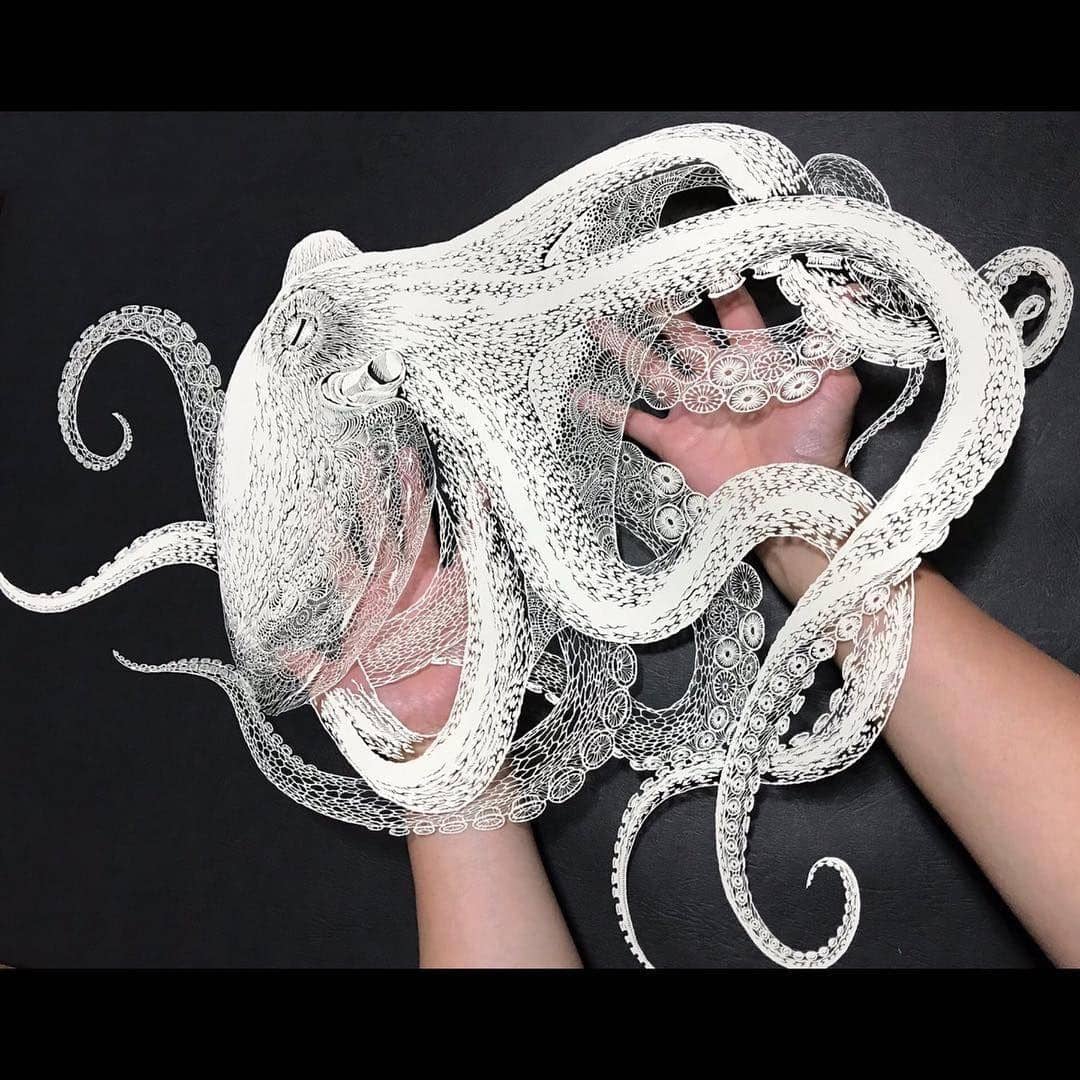 Instagram.com/kiriesousakukamasayo