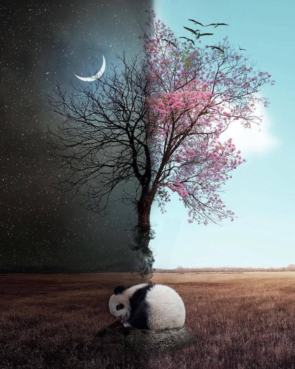 Instagram.com/skip_closer