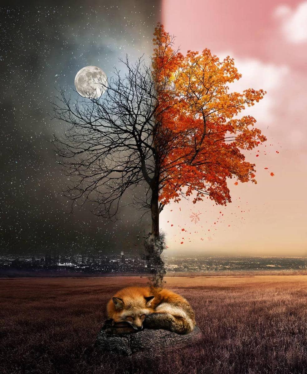 Instagram.com/skip_closer