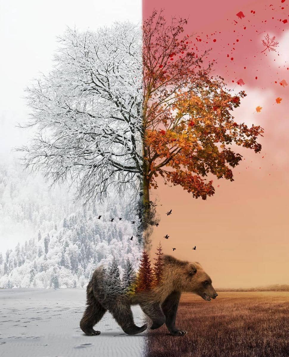 Instagram.com/skip_closer