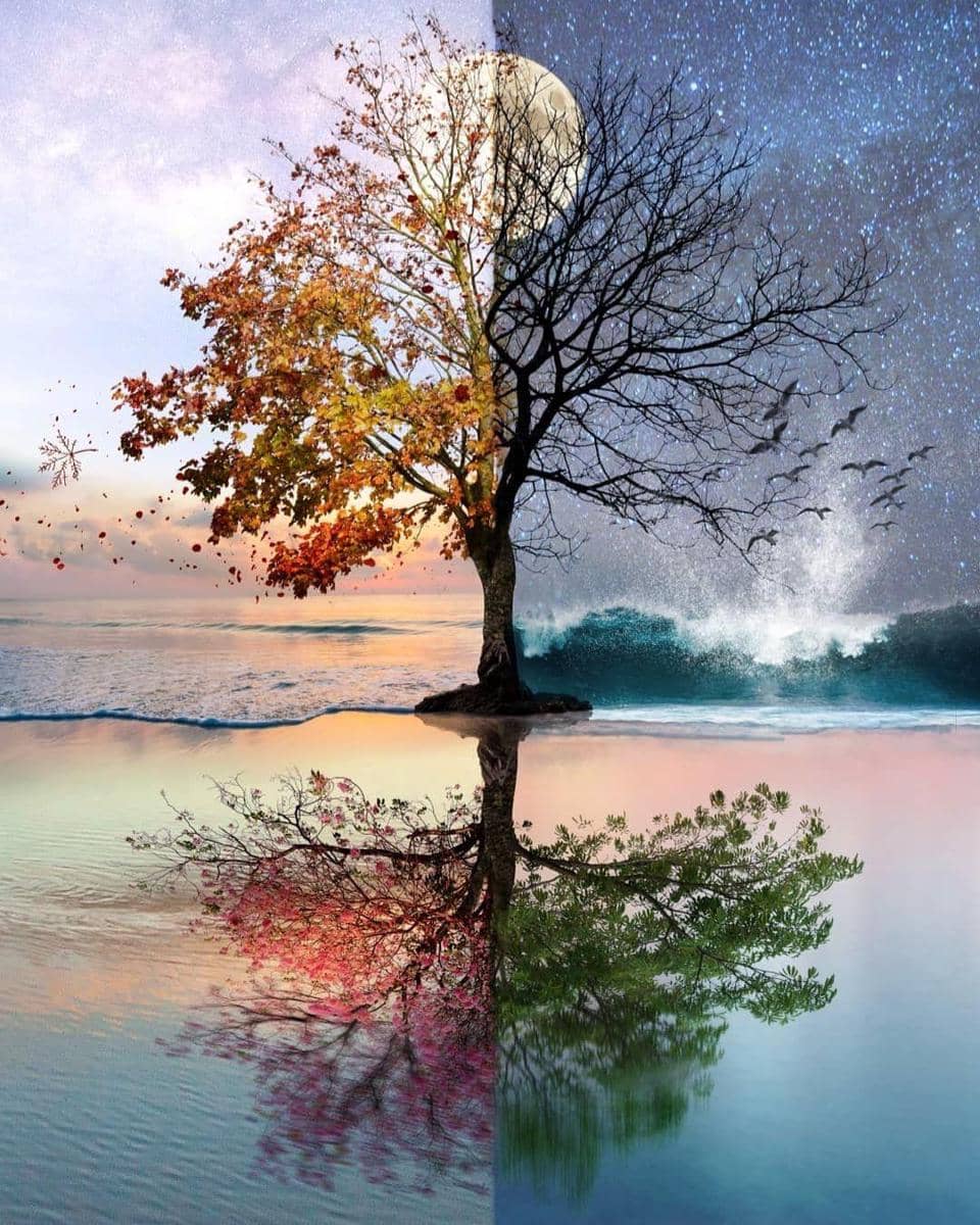 Instagram.com/skip_closer