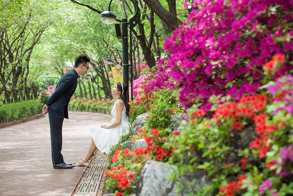 thechungdamstudio.com