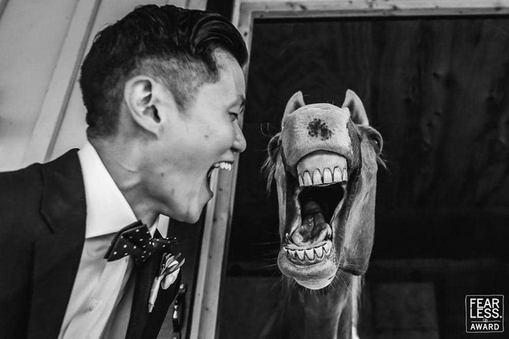 Boredpanda.com/Ken Pak