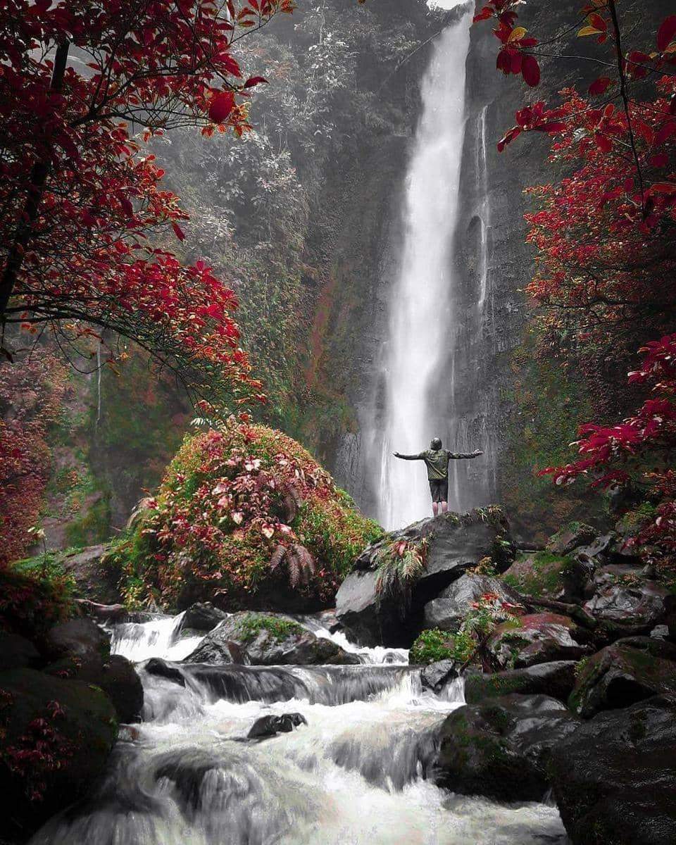 instagram.com/piknikyuks/@deluminous1991