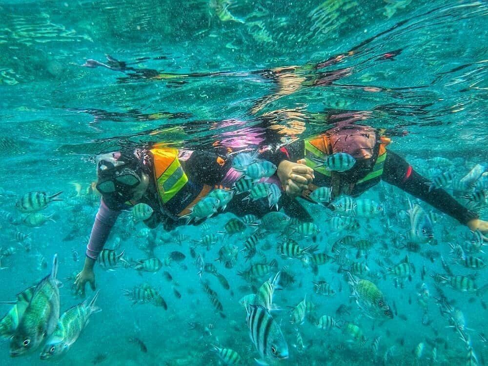 instagram.com/padangtripisland