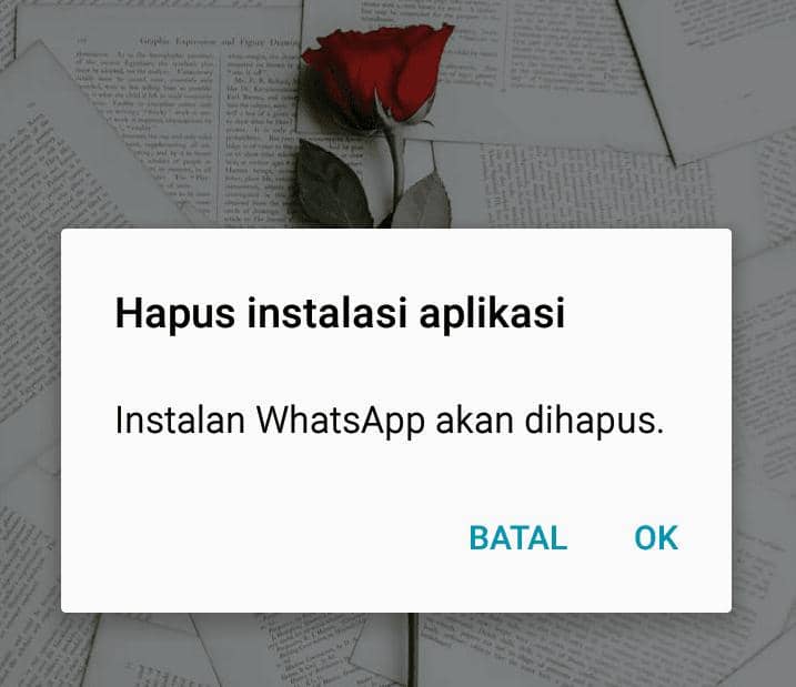 screenshoot/erfah nanda