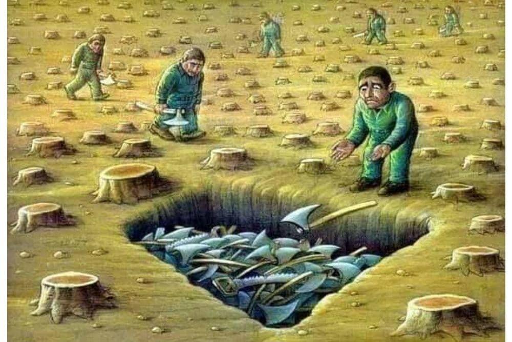 Facebook.com/INature