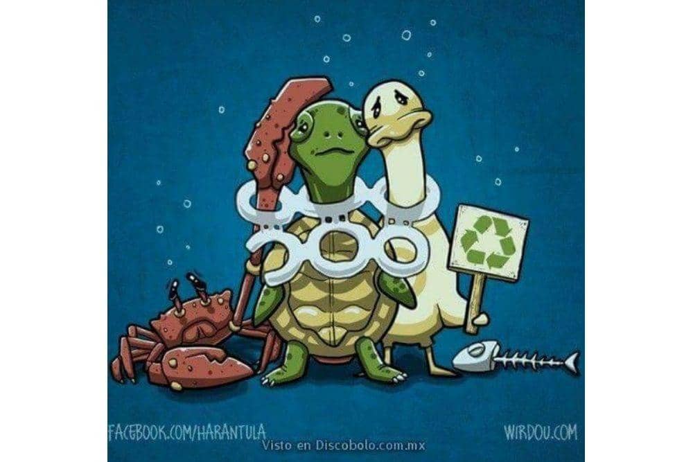 Facebook.com/INature