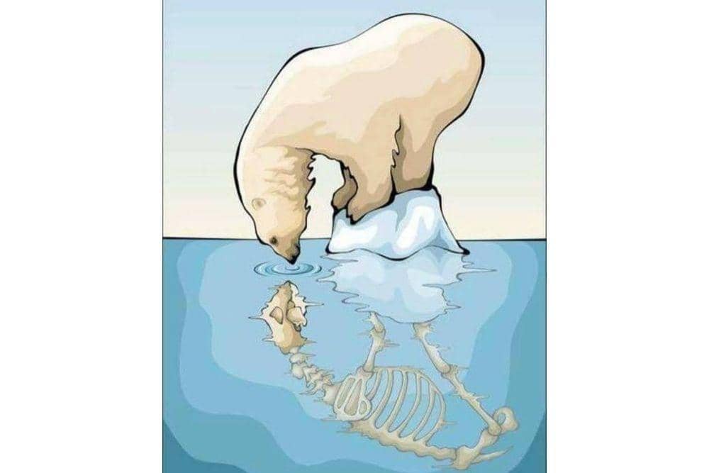 Facebook.com/INature