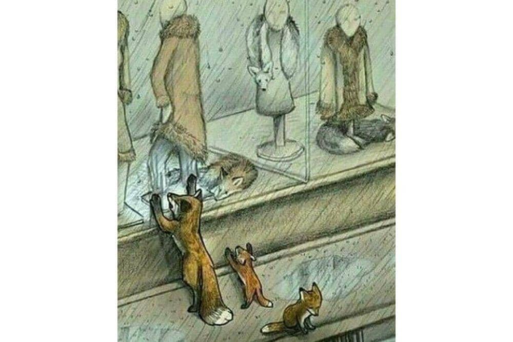 Facebook.com/INature