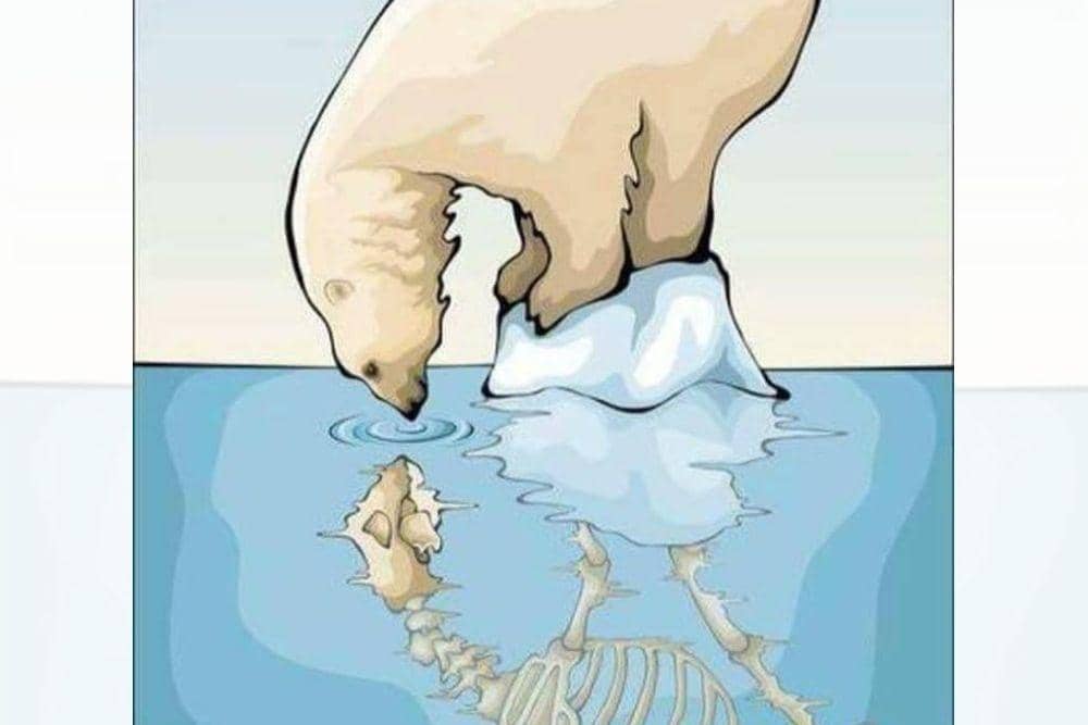 Facebook.com/INature