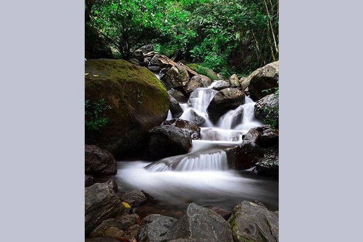 instagram.com/swijaya1