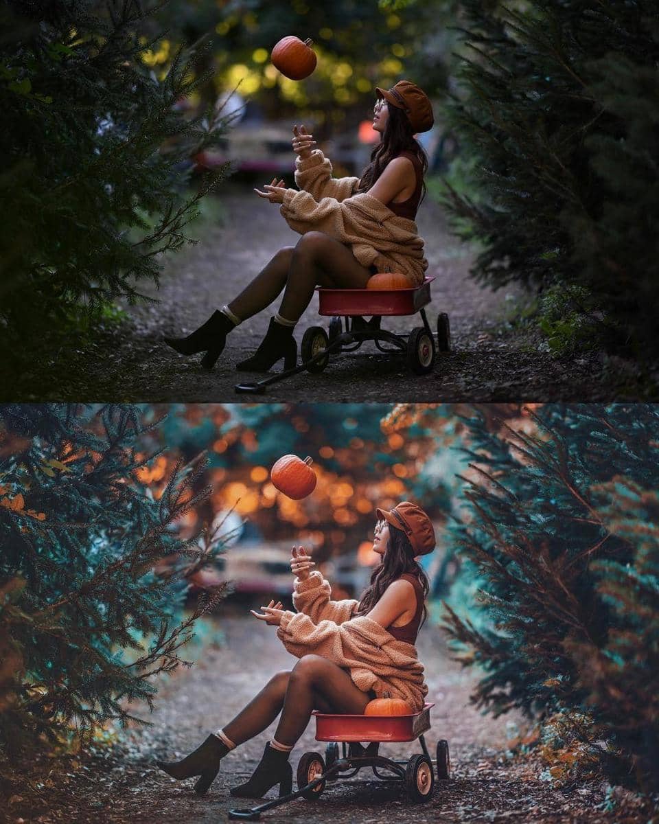 Instagram.com/bran.wolf