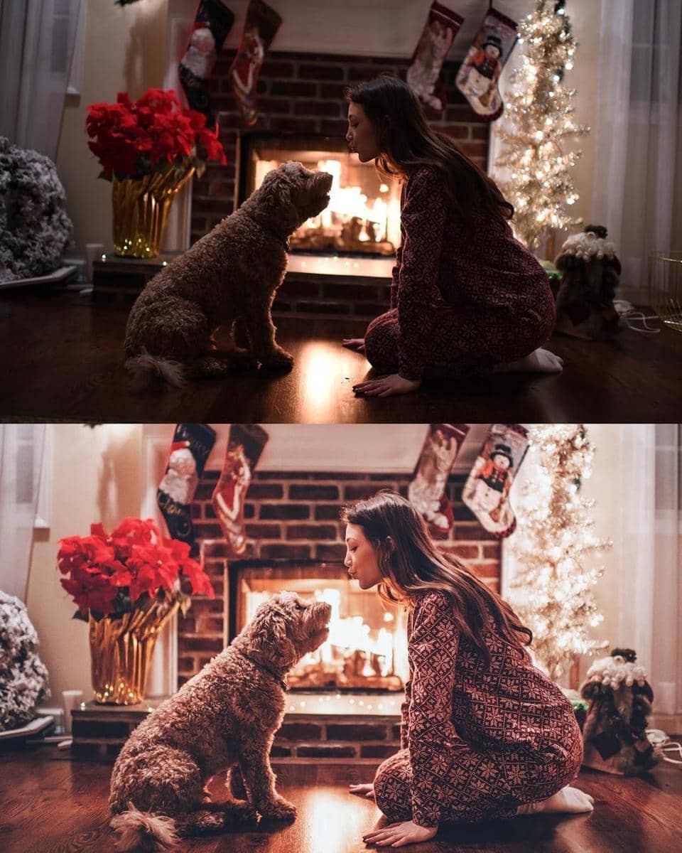 Instagram.com/bran.wolf