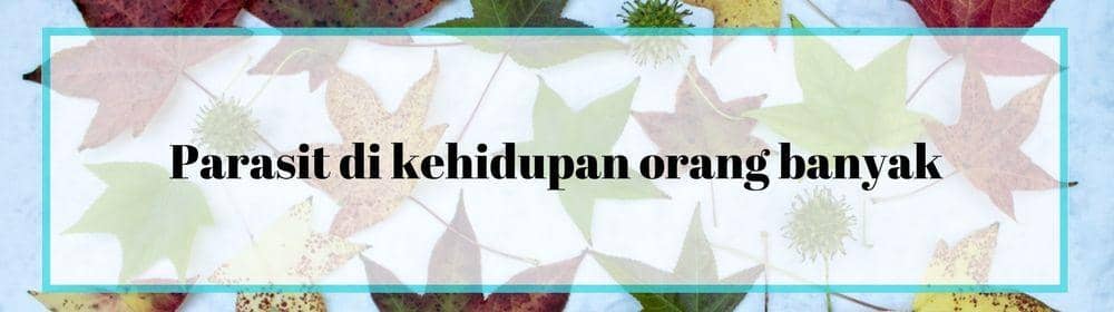 emsphotography.tumblr.com