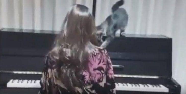 youtube.com/roni upil