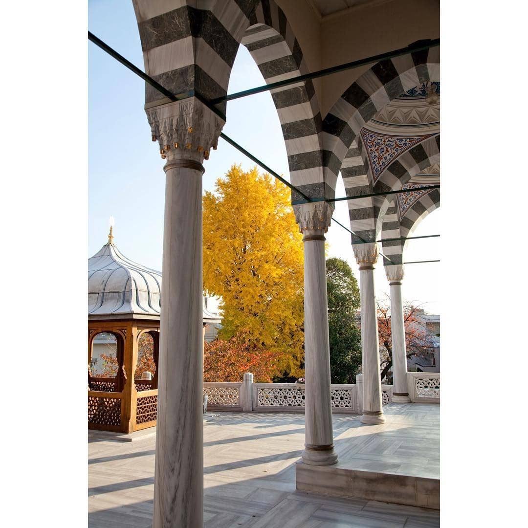 Instagram.com/tokyocamii