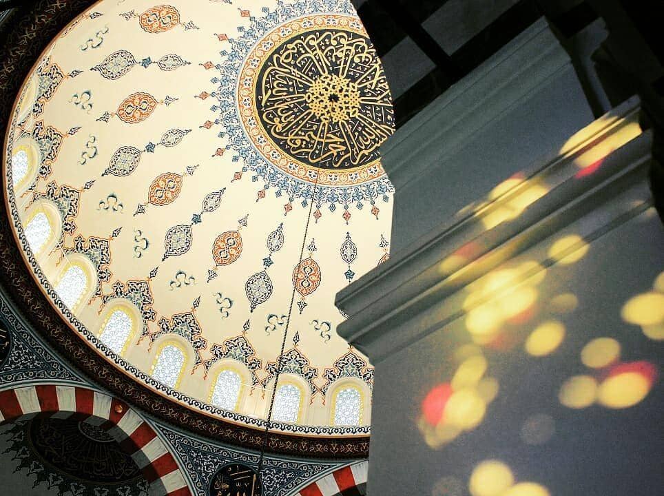 Instagram.com/tokyocamii