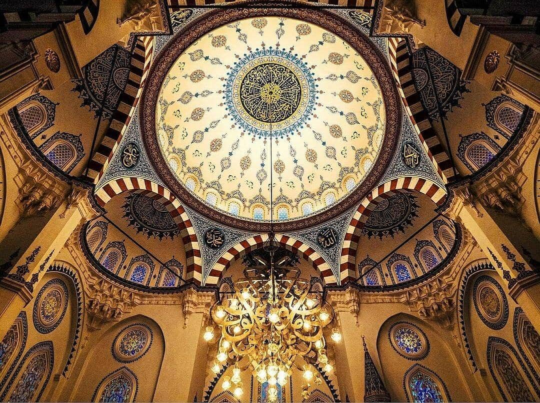 Instagram.com/tokyocamii