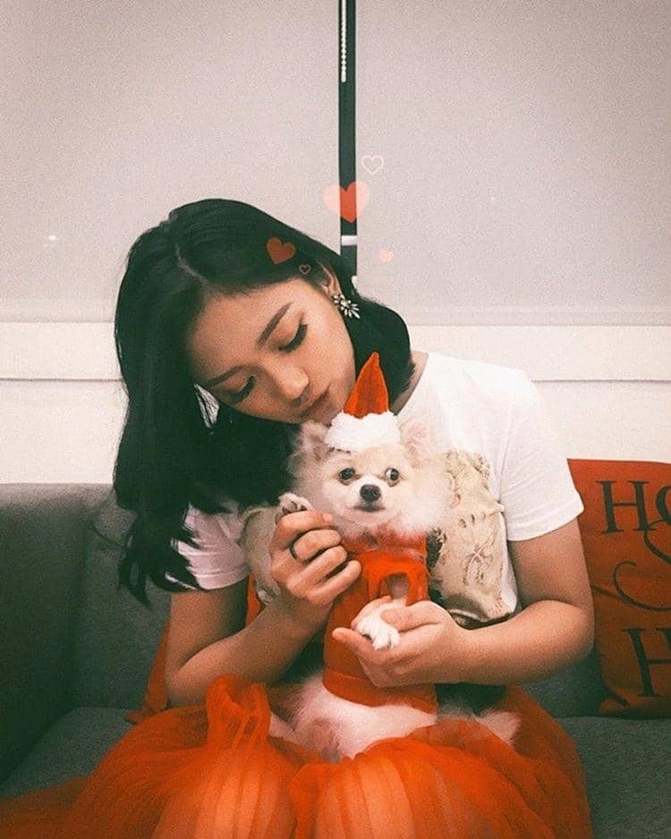 Instagram.com/julianjacs