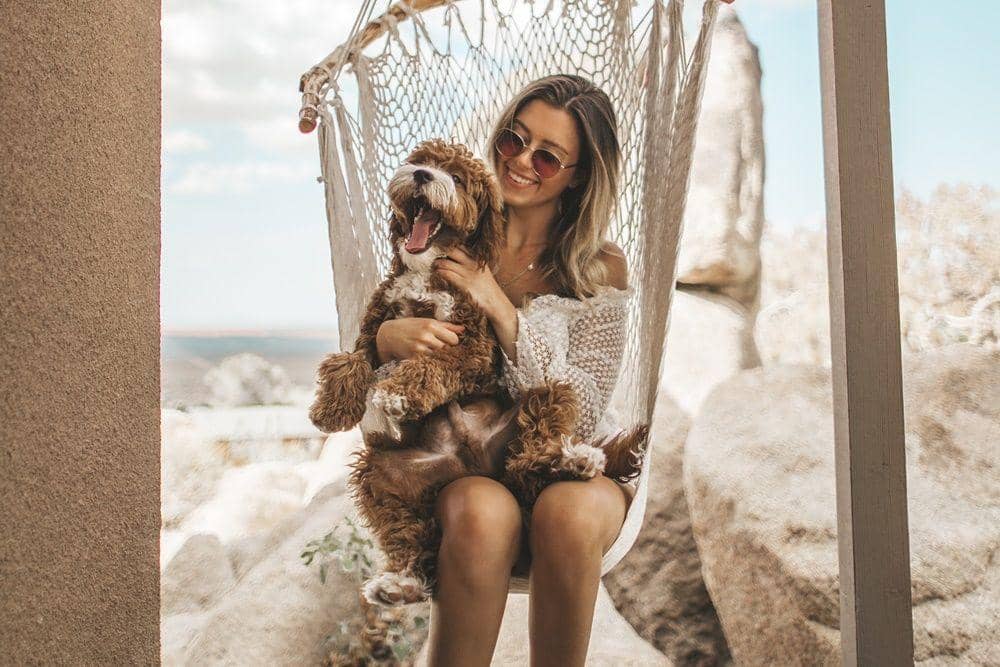 Unsplash.com/Roberto Nickson