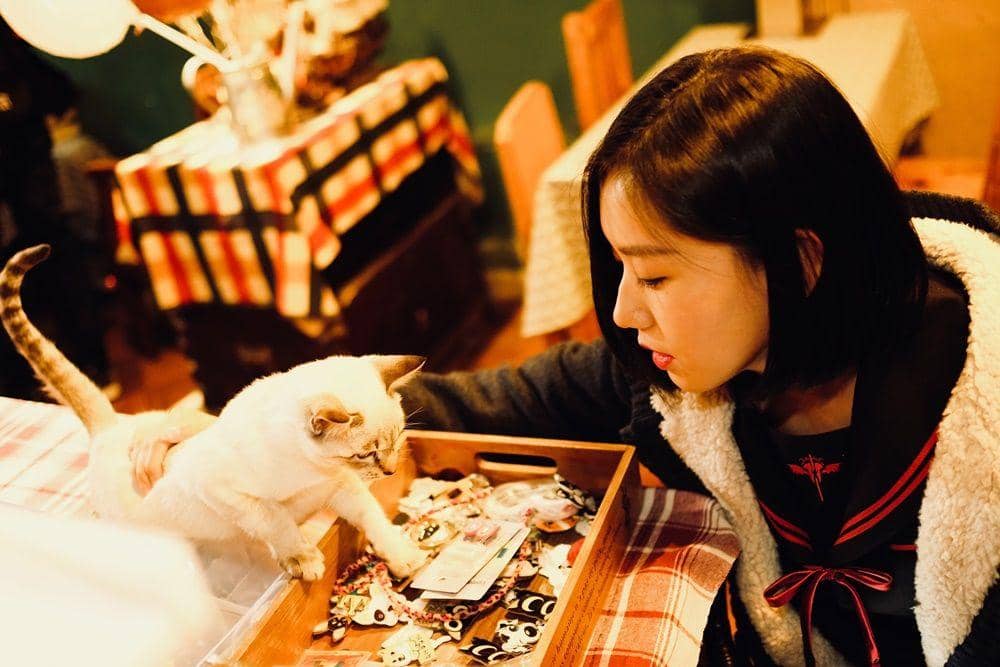 Pexels.com/Zhuhehuai