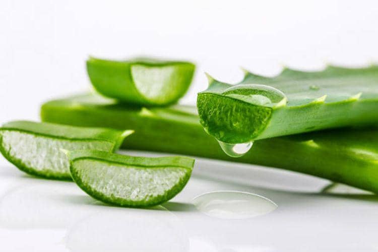 buffalomorningstar.com