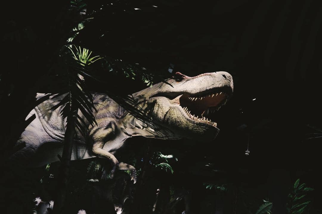 Popbela.com/Michael Richards