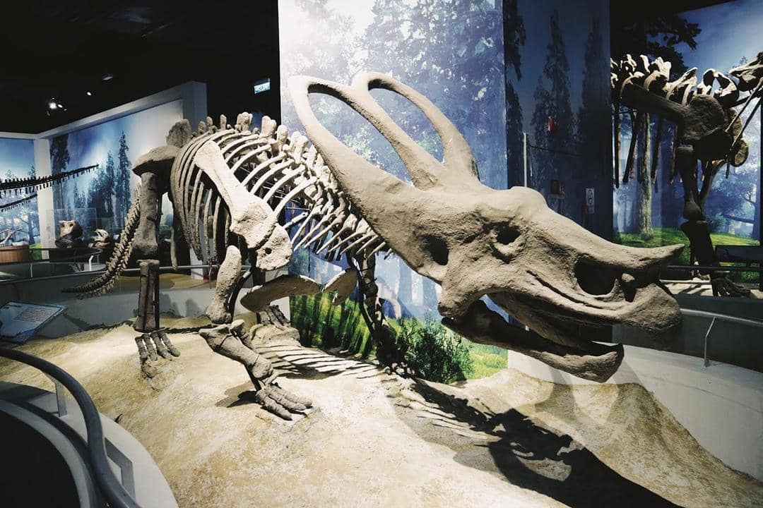 Popbela.com/Michael Richards