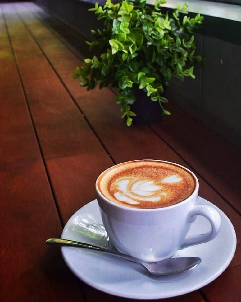 Instagram.com/arboreacafe