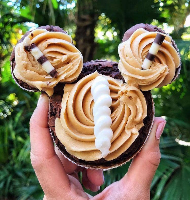 www.instagram.com/disneycalifoodieadventure/