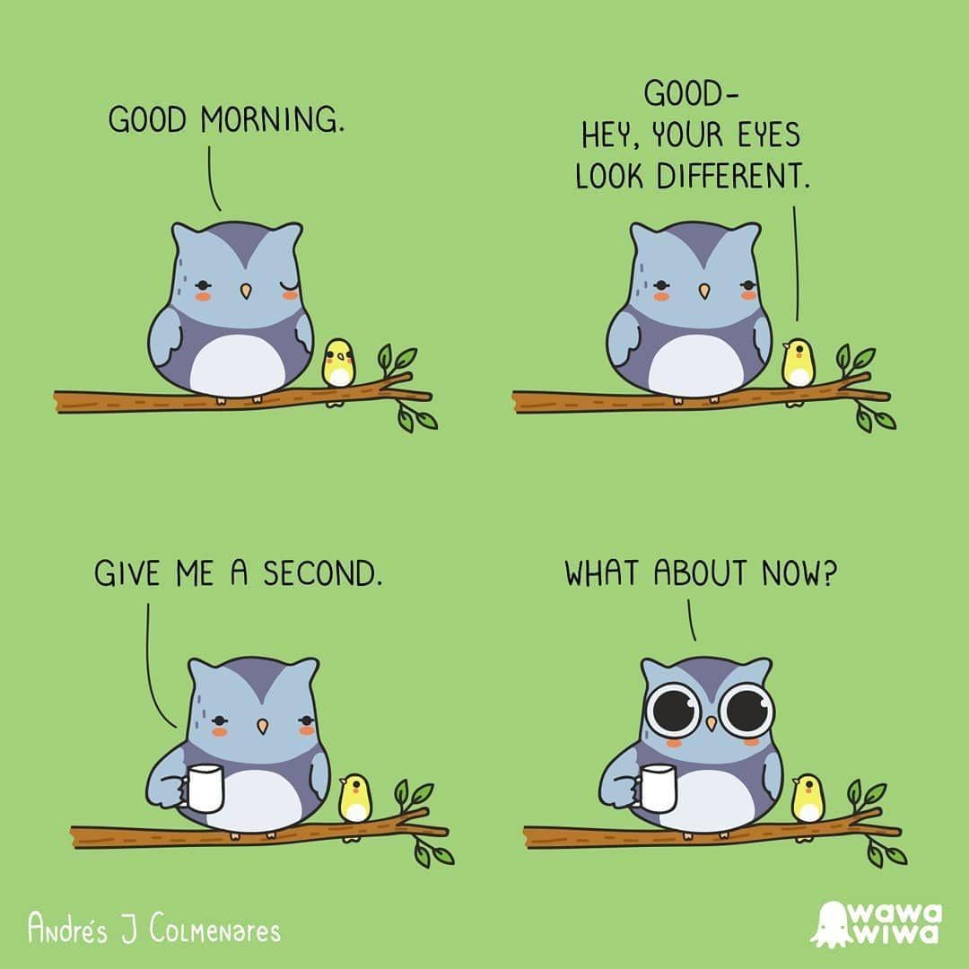 Instagram.com/wawawiwacomics