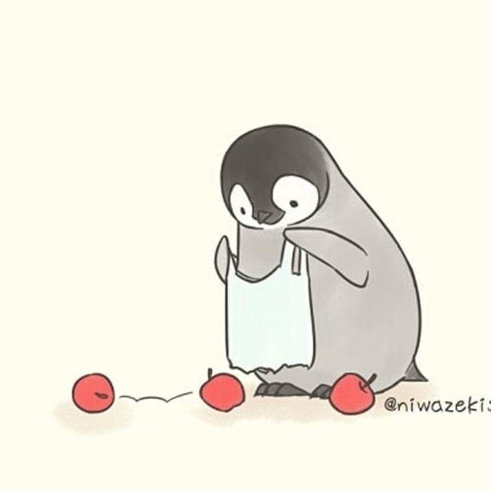 Instagram.com/sheba.drawing