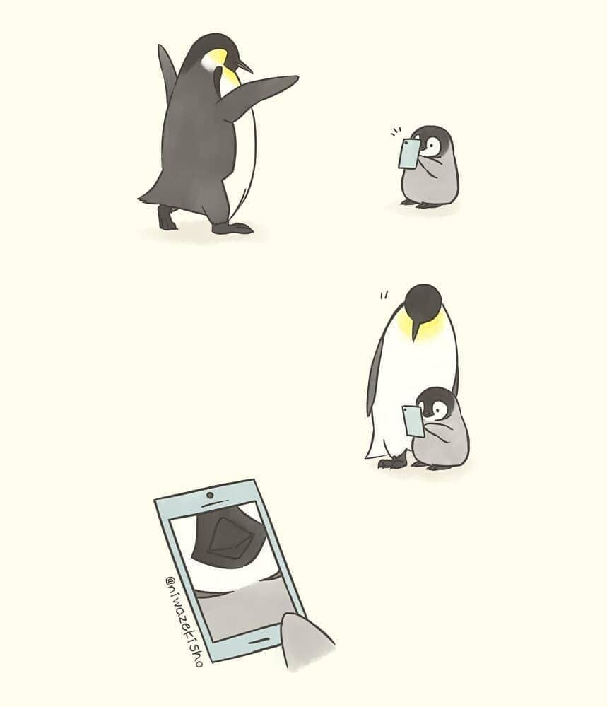 Instagram.com/sheba.drawing