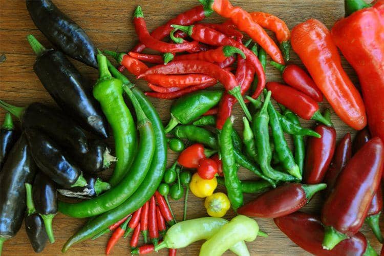 kebudayaan.kemdikbud.go.id