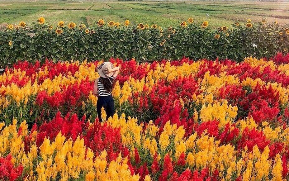 instagram.com/explorejogja