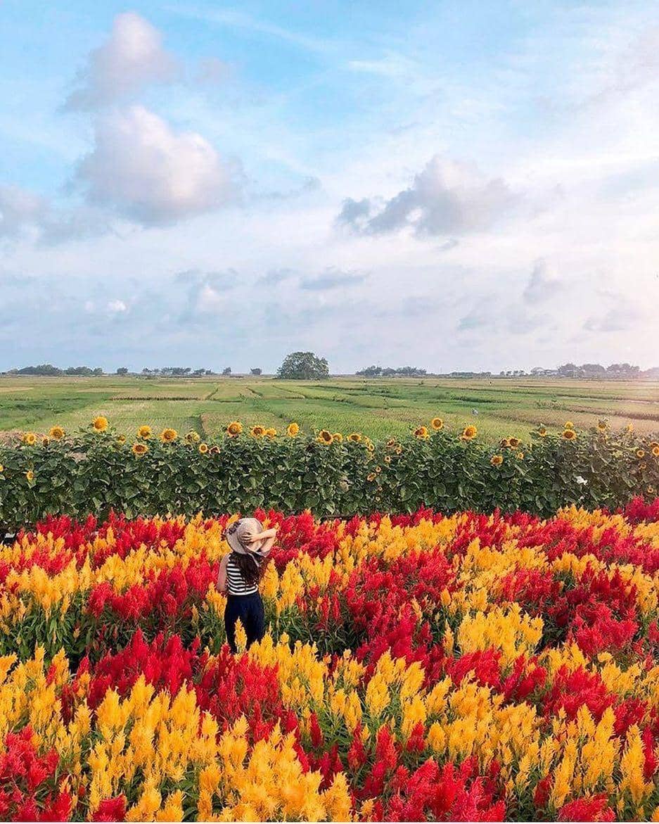 instagram.com/explorejogja