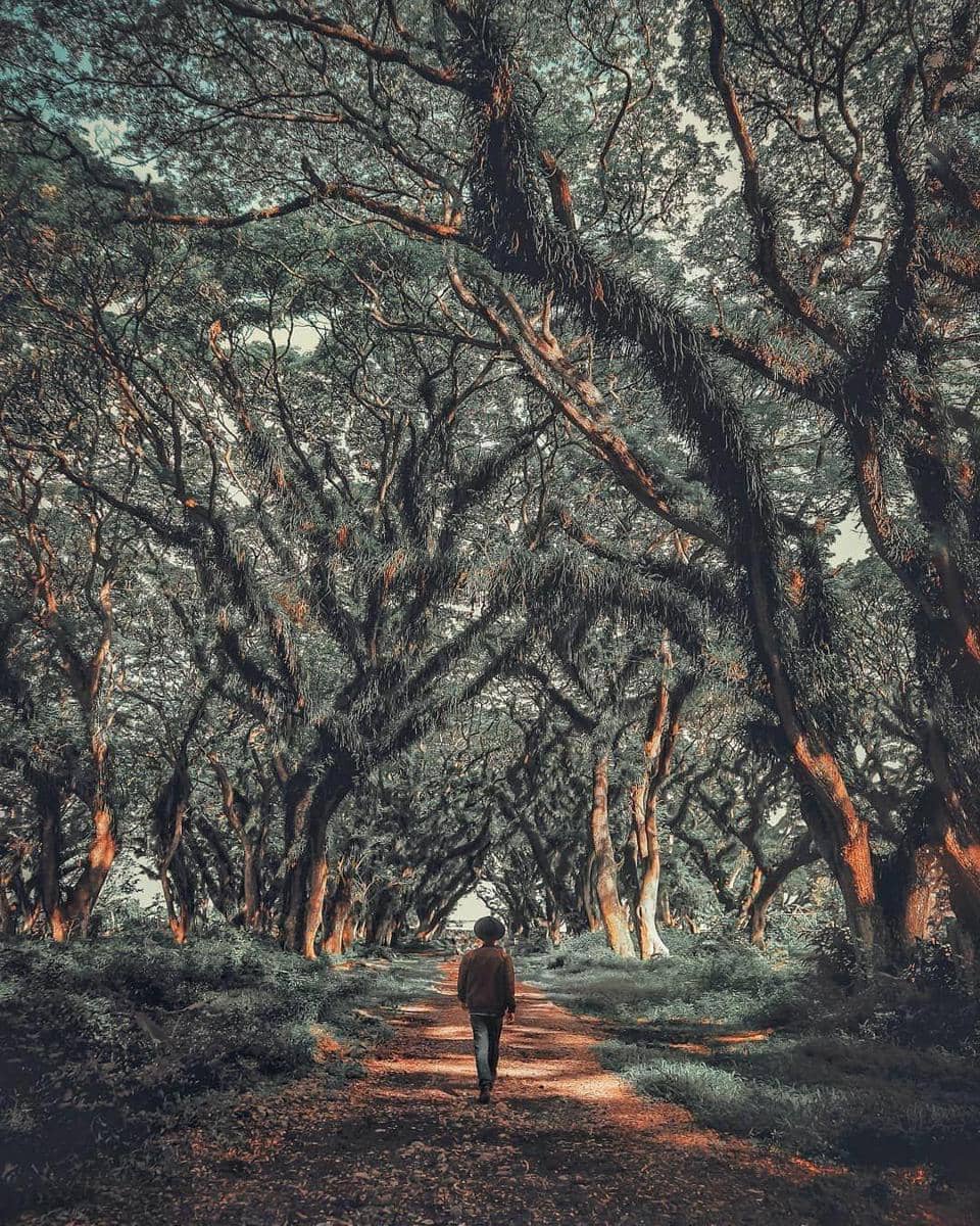 instagram.com/why_ajie