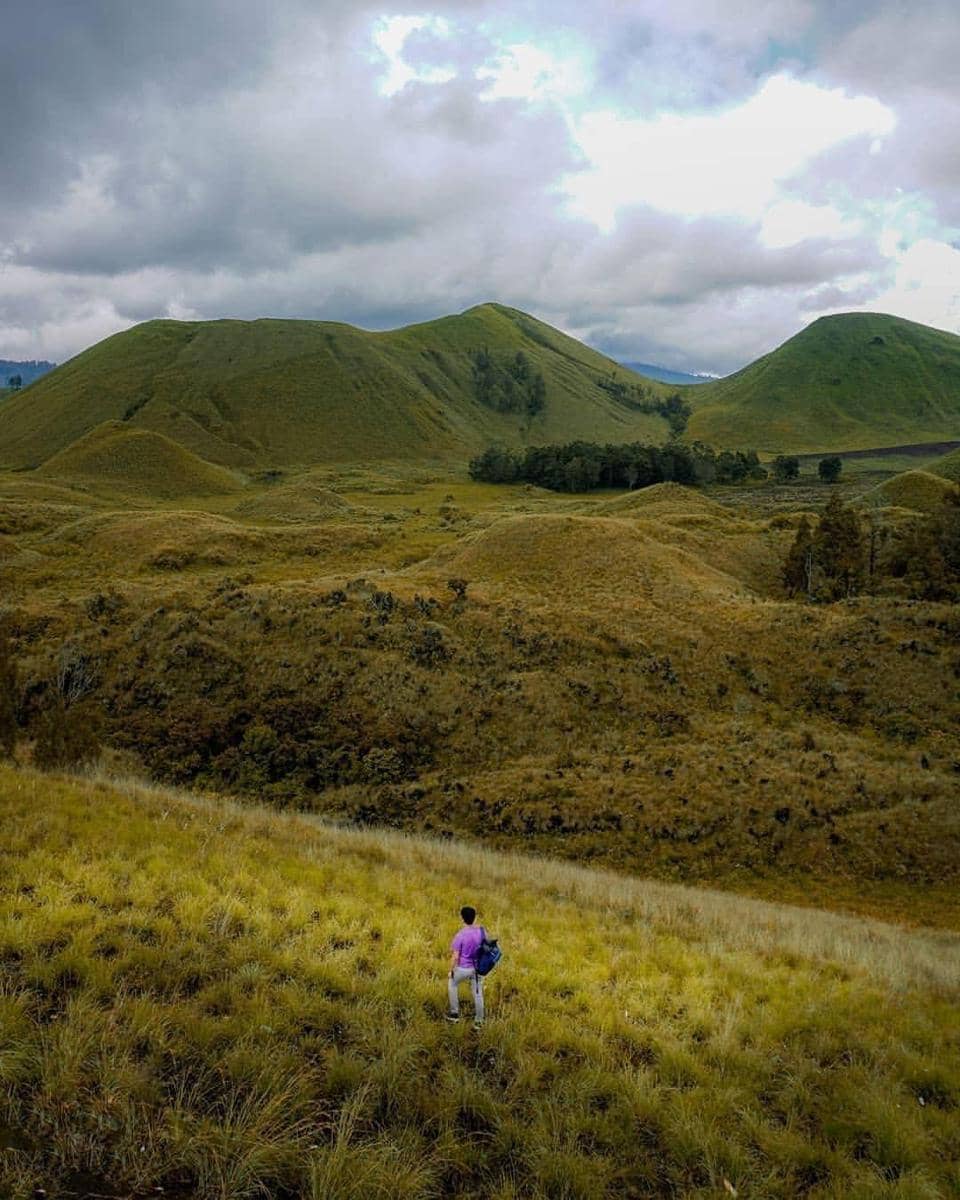 instagram.com/embafals