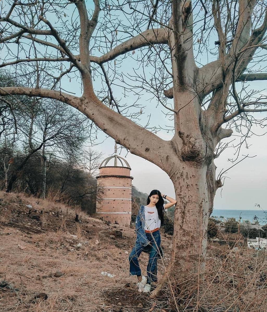 instagram.com/ameliadevira06