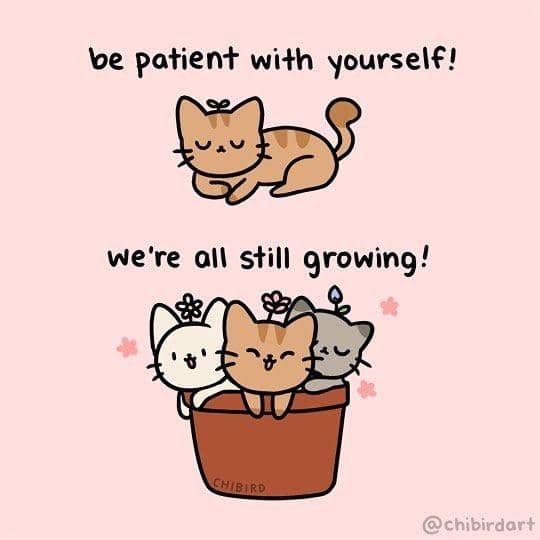 Instagram.com/chibirdart