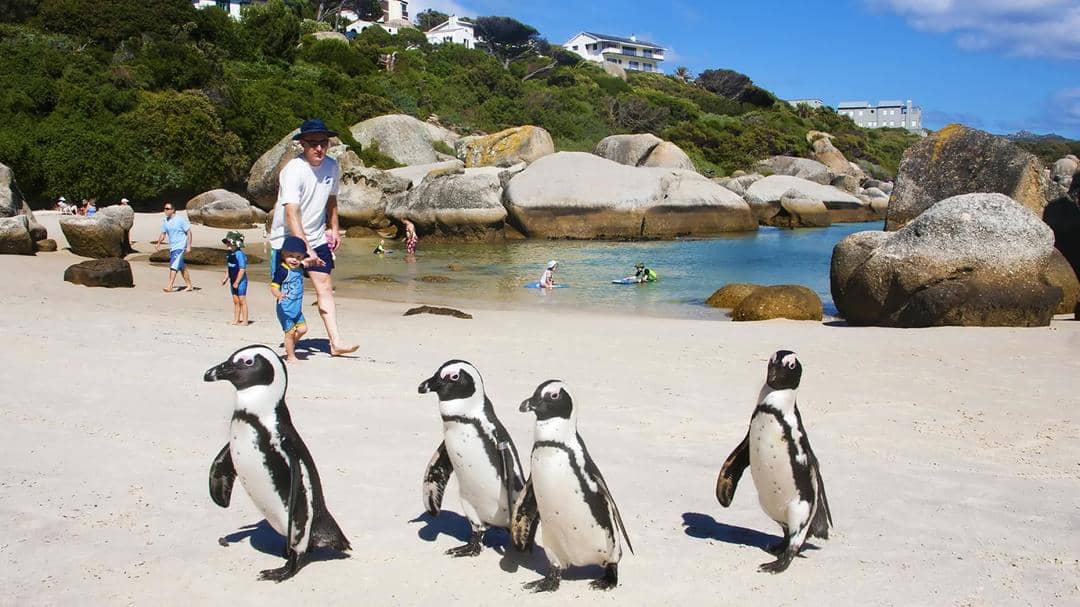 kids.nationalgeographic.com