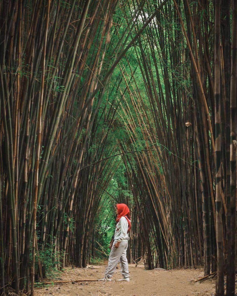 instagram.com/setapakkecil