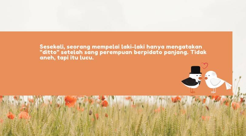 canva.com