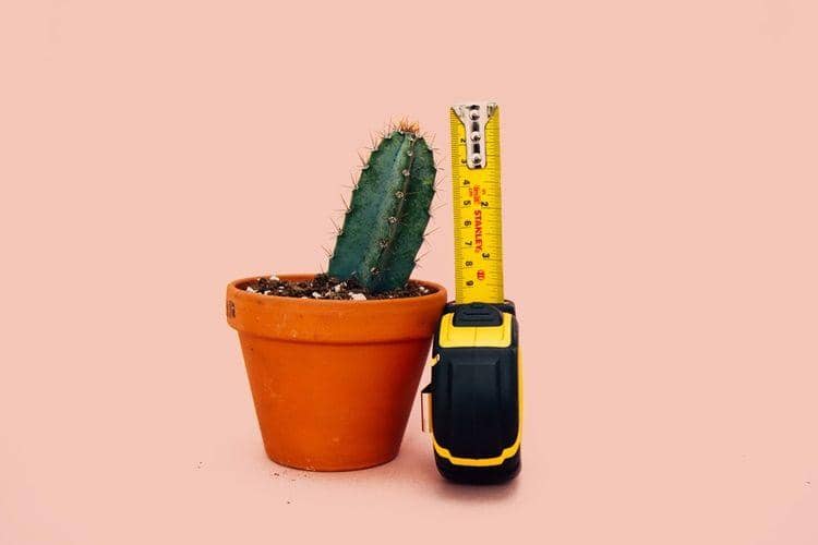 Unsplash.com/Charles