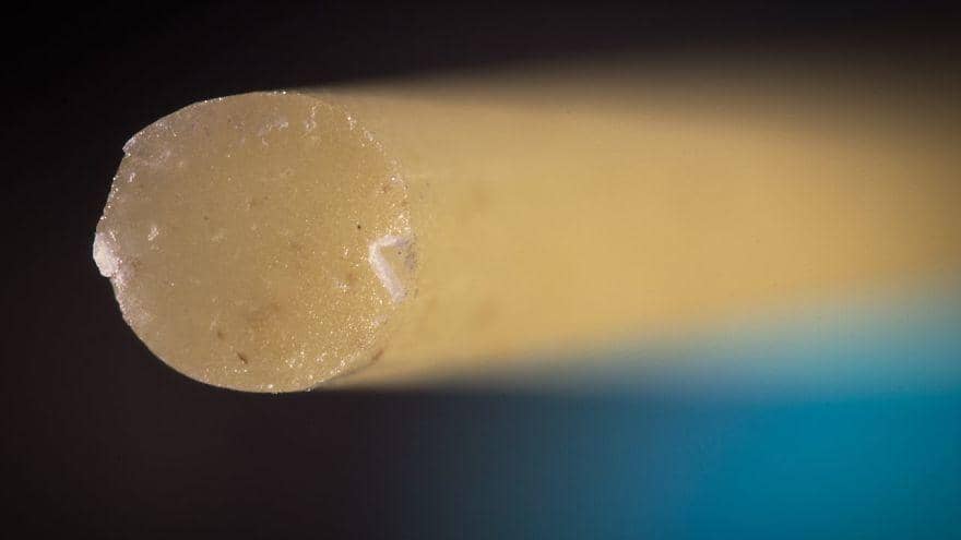 Facebook.com/pyanek.official