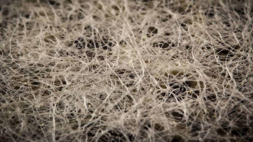 Facebook.com/pyanek.official