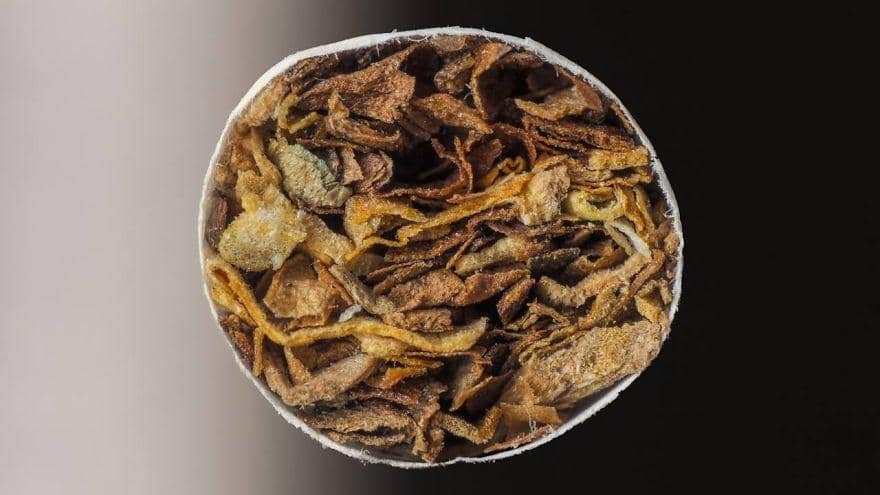 Facebook.com/pyanek.official