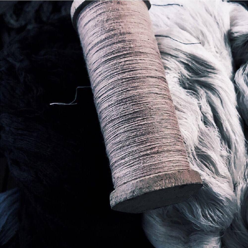 Instagram.com/orel.official